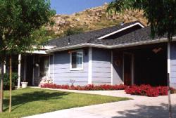 Front lawn and petunias